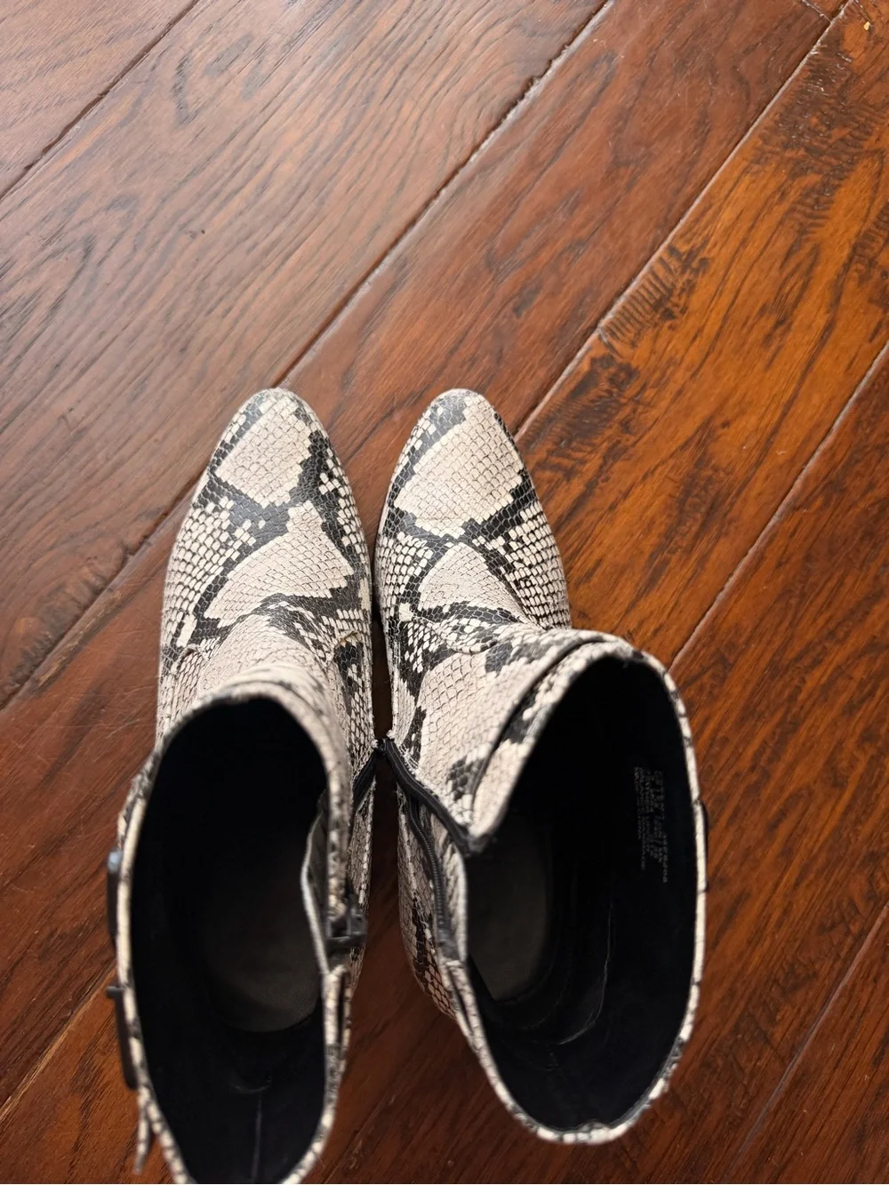 Calvin Klein Black & Ivory Snakeskin-Print Ankle Booties